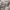 https://res.cloudinary.com/billionhands/image/upload/v1775872518/items/llueexmxxdn83izq4aam.webp-0cover