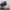 https://res.cloudinary.com/billionhands/image/upload/v1775875500/items/bzmf7dtjckyyv3zm8puy.jpg-2cover