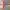https://res.cloudinary.com/billionhands/image/upload/v1775876997/items/sedpakmhnijegiwilf94.jpg-1cover