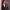 https://res.cloudinary.com/billionhands/image/upload/v1775879312/items/rymdueikqoy3pvsfawbf.jpg-0cover