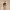 https://res.cloudinary.com/billionhands/image/upload/v1775879316/items/zgx1gpsnatkz9pyrorpj.jpg-1cover