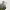 https://res.cloudinary.com/billionhands/image/upload/v1775879317/items/zo24lujsf03uw1ehbajk.jpg-3cover