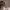 https://res.cloudinary.com/billionhands/image/upload/v1775886686/items/f6yhvqrr8ovqssrdulbi.jpg-2cover