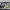 https://res.cloudinary.com/billionhands/image/upload/v1775903926/items/c7sso1dlnskdje4ukpp6.png-1cover