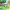 Nick Jr. Replay! (Apple Arcade) cover