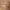 https://res.cloudinary.com/billionhands/image/upload/v1775910120/items/gifj4b2txjt0fdhgsf9a.webp-1cover