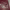 https://res.cloudinary.com/billionhands/image/upload/v1775911329/items/rkmdmz13aepcuiksta2n.jpg-3cover