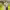 https://res.cloudinary.com/billionhands/image/upload/v1775913827/items/jsufxhyhgmmbu5uppt51.avif-2cover