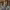https://res.cloudinary.com/billionhands/image/upload/v1775933546/items/fhxmuorswtc8nfhhrxun.jpg-3cover