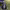 https://res.cloudinary.com/billionhands/image/upload/v1775954805/items/nmzv3ah5dese8ucxadtl.jpg-0cover