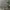 https://res.cloudinary.com/billionhands/image/upload/v1775958055/items/obp6mdjxep9smmmrxuxk.jpg-2cover