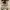 https://res.cloudinary.com/billionhands/image/upload/v1775960369/items/k0fueagbwitf60g9ff4s.jpg-2cover