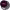 https://res.cloudinary.com/billionhands/image/upload/v1775963183/items/bb8opmnjb6tkrh5zocug.webp-0cover
