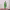 https://res.cloudinary.com/billionhands/image/upload/v1775964230/items/z3ip13g1juxg7aylbpkz.webp-3cover