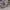 https://res.cloudinary.com/billionhands/image/upload/v1775964239/items/yg4epugwls5jpquqlzdl.jpg-0cover