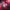 https://res.cloudinary.com/billionhands/image/upload/v1775965320/items/etvbrkenefwgj1eudsxz.jpg-0cover