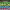 https://res.cloudinary.com/billionhands/image/upload/v1775965321/items/rplaucmawwwnqvxmsxn6.jpg-0cover