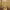 https://res.cloudinary.com/billionhands/image/upload/v1775965326/items/hoqgth6wql9grnrevwft.jpg-0cover