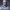 https://res.cloudinary.com/billionhands/image/upload/v1775971173/items/wvonzlysmmgggf3siiht.jpg-2cover