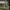 https://res.cloudinary.com/billionhands/image/upload/v1775972930/items/jfiruywcimdnotkmwxe4.jpg-2cover