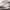 https://res.cloudinary.com/billionhands/image/upload/v1775980537/items/ixhfhwotmnilq7vlwyff.jpg-1cover