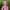 https://res.cloudinary.com/billionhands/image/upload/v1775984470/items/jhh2uxzj2tyeu7bqvxr2.jpg-0cover