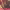 https://res.cloudinary.com/billionhands/image/upload/v1775988852/items/pwwkq9tbafwtey0ahlr9.jpg-0cover