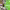 https://res.cloudinary.com/billionhands/image/upload/v1775991332/items/vpnveyxiy7tjx9mvxxu7.jpg-1cover