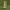 https://res.cloudinary.com/billionhands/image/upload/v1775995880/items/mieavi9ptoiu5m0sahq2.jpg-2cover