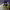 https://res.cloudinary.com/billionhands/image/upload/v1775998368/items/gws8mtdvxzfafgup0eah.jpg-0cover
