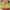 https://res.cloudinary.com/billionhands/image/upload/v1775998369/items/fmlhkz6gtrihcp6lth0m.jpg-3cover