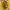 https://res.cloudinary.com/billionhands/image/upload/v1775998372/items/v7cmwgrh6xfcllqwhuwh.jpg-3cover