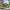 https://res.cloudinary.com/billionhands/image/upload/v1776002189/items/ccr2poicyw8jqskjuj4t.jpg-3cover