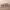 https://res.cloudinary.com/billionhands/image/upload/v1776002194/items/xjapbmk3sawbzokxqcmj.jpg-1cover