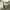 https://res.cloudinary.com/billionhands/image/upload/v1776002196/items/edysdgt6lv0dlms4hfra.jpg-1cover