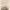https://res.cloudinary.com/billionhands/image/upload/v1776002199/items/wzpelkuijzjbealoyd90.jpg-2cover