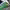 https://res.cloudinary.com/billionhands/image/upload/v1776004768/items/itbymso8aq4flqvz89wy.jpg-2cover