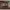 https://res.cloudinary.com/billionhands/image/upload/v1776010629/items/v1o8apfrakaimkxd1o3a.jpg-2cover