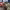 https://res.cloudinary.com/billionhands/image/upload/v1776025993/items/rth3sfffcf3f6az3tkdh.jpg-0cover