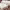 https://res.cloudinary.com/billionhands/image/upload/v1776029822/items/dsfshxc6krmankvue4is.jpg-0cover