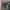https://res.cloudinary.com/billionhands/image/upload/v1776031922/items/ksnlj1rqbpcmtvnf0pzv.jpg-3cover