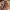 Florence Pugh (No te preocupes cariño) cover