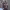 https://res.cloudinary.com/billionhands/image/upload/v1776056687/items/tcvj7vdrxlfiiffzjuq0.jpg-2cover