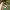 https://res.cloudinary.com/billionhands/image/upload/v1776056689/items/qmyhefuqxe2sx4ya2nrn.webp-3cover