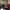https://res.cloudinary.com/billionhands/image/upload/v1776069339/items/p4d33ln6tmnmnbiw5nzb.jpg-1cover