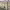 https://res.cloudinary.com/billionhands/image/upload/v1776079109/items/sjgsrdns9ofpmyttcf1w.jpg-1cover