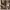 https://res.cloudinary.com/billionhands/image/upload/v1776092110/items/d0vrrq3j64dzvrw65lgx.jpg-3cover
