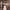 https://res.cloudinary.com/billionhands/image/upload/v1776093735/items/ogdfhdoczyikorqrvuwh.webp-3cover