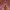 https://res.cloudinary.com/billionhands/image/upload/v1776094402/items/jjdq7uovaktxytop66bx.jpg-2cover