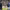 https://res.cloudinary.com/billionhands/image/upload/v1776095892/items/rit6el9j9xl71sw0uqvv.webp-1cover